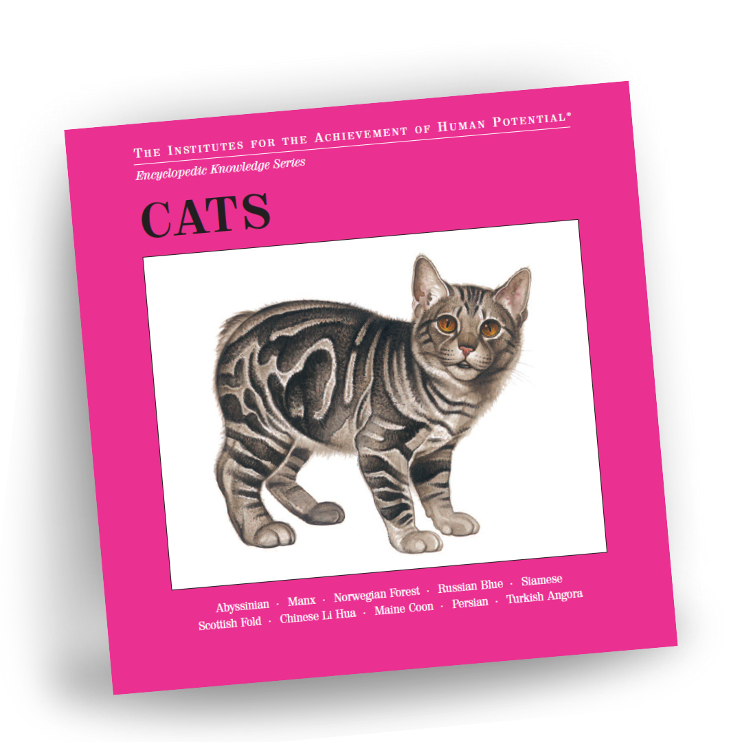 CATS Bit of Intelligence Cards