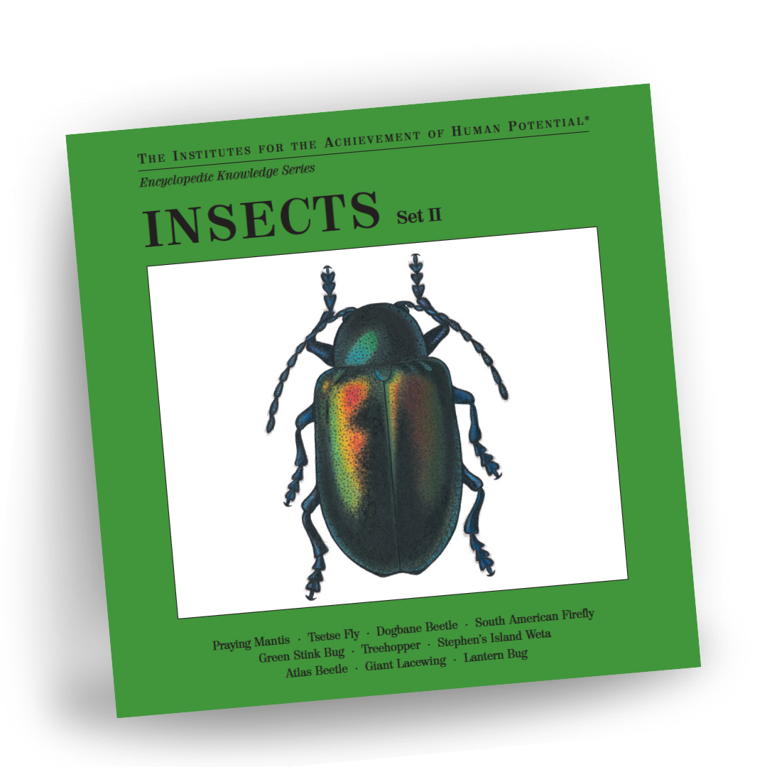 INSECTS, Set II, Bit of Intelligence Cards