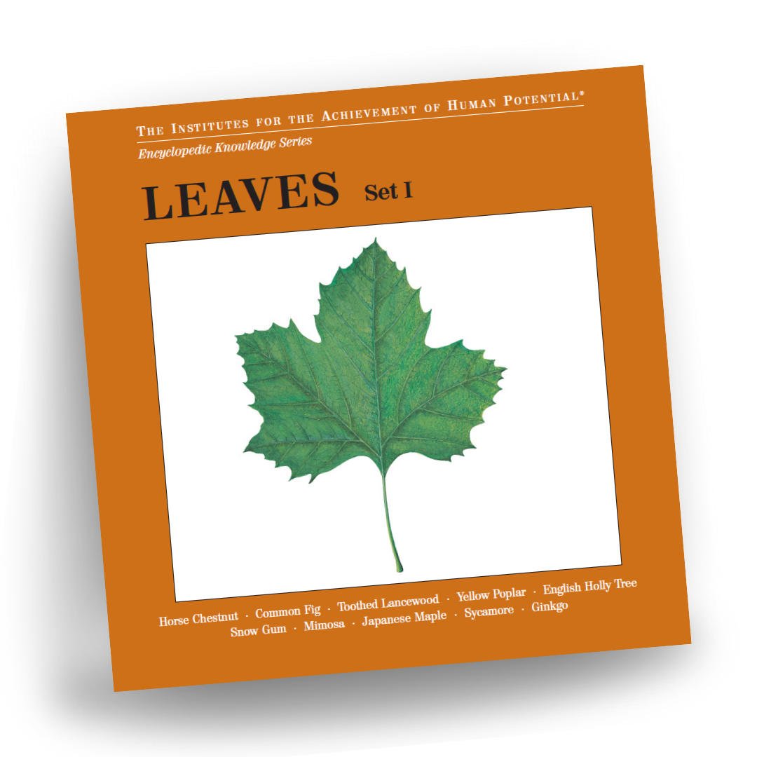 LEAVES, Set I, Bit of Intelligence Cards