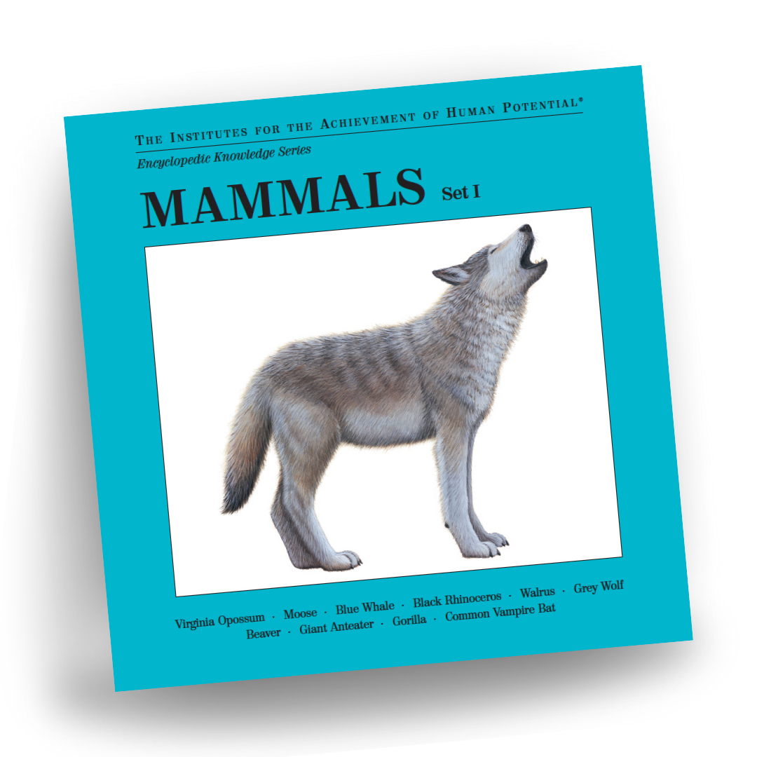 MAMMALS, Set I, Bit of Intelligence Cards
