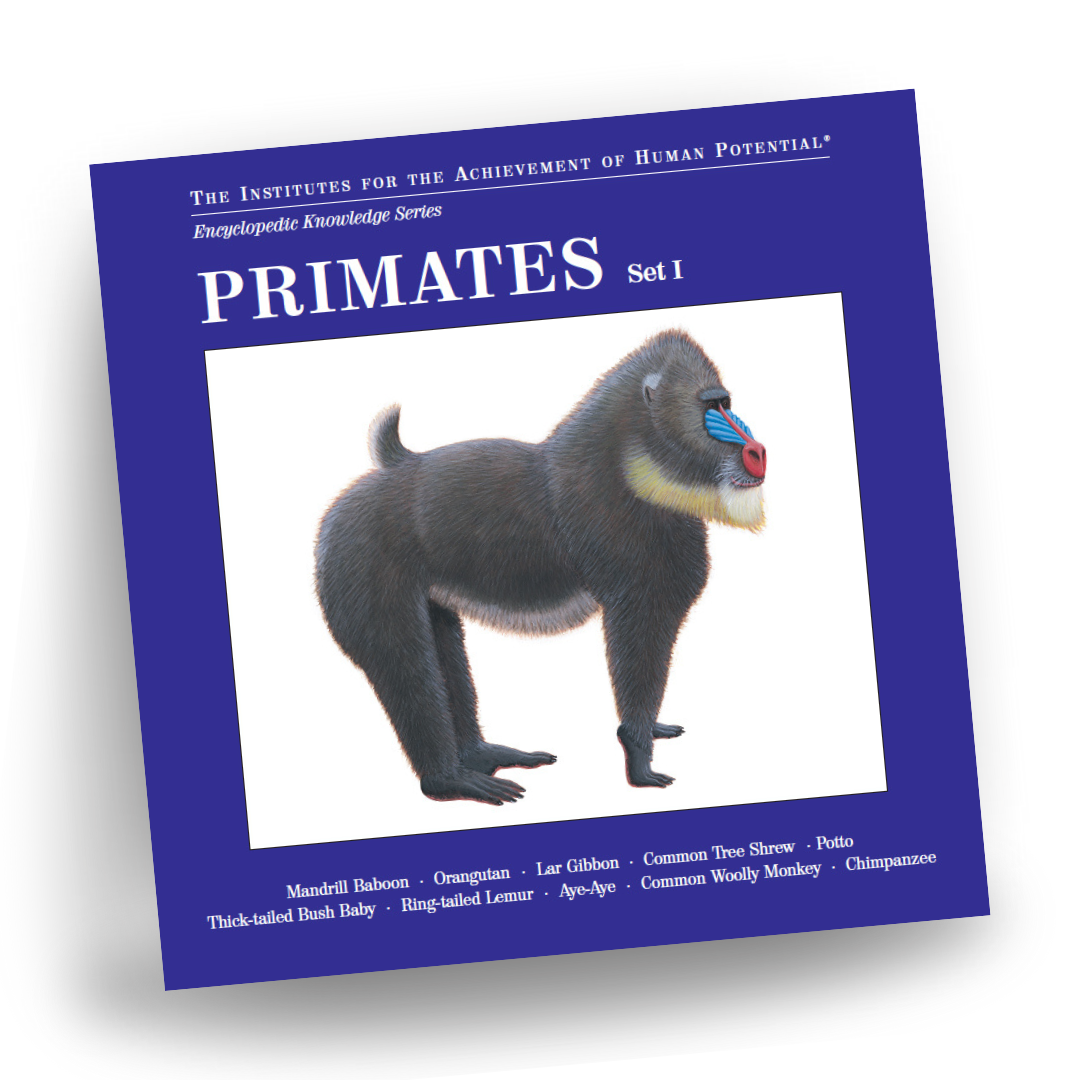 PRIMATES, Set I, Bit of Intelligence Cards