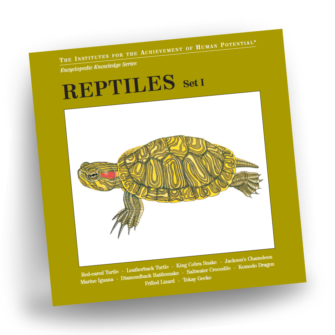 REPTILES, Set I, Bit of Intelligence Cards