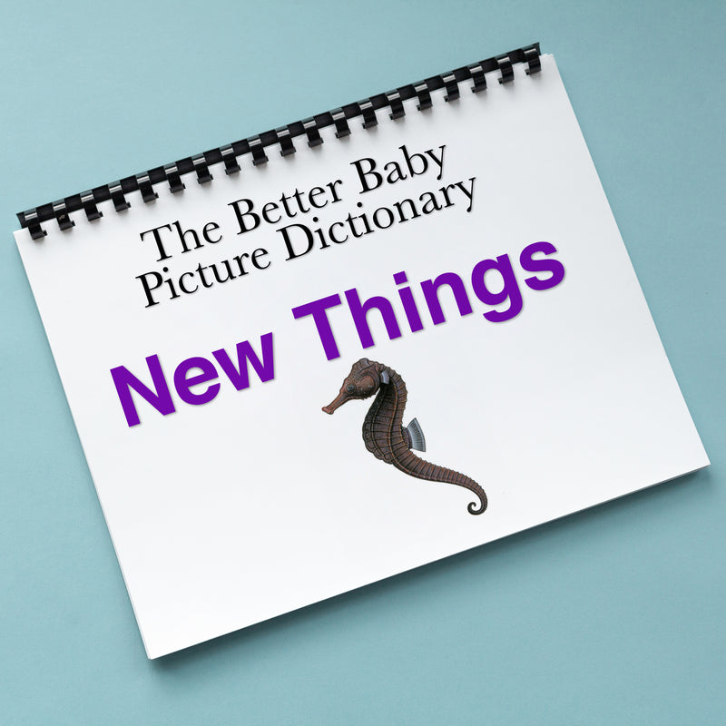 NEW THINGS Picture Dictionary Book (English & Spanish)