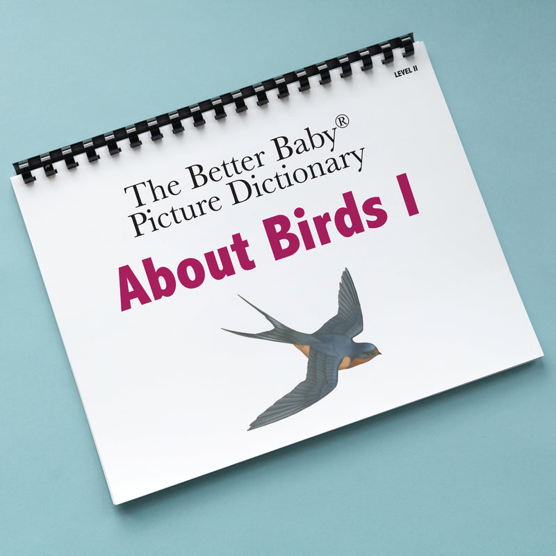 About Birds I Picture Dictionary Book