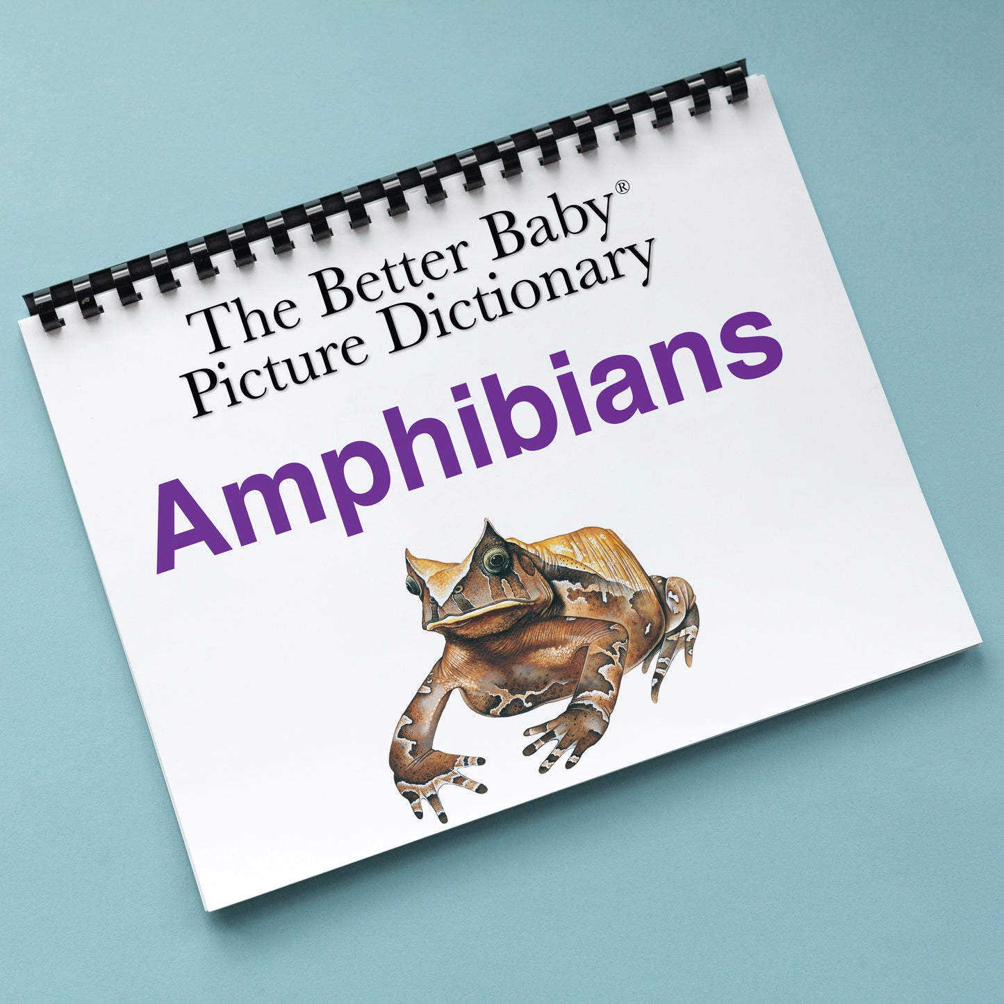 AMPHIBIANS Picture Dictionary Book