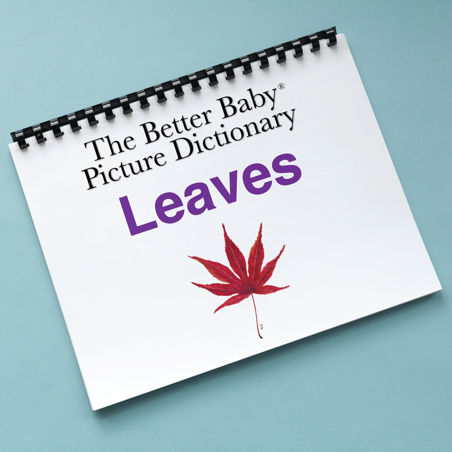 LEAVES Picture Dictionary Book