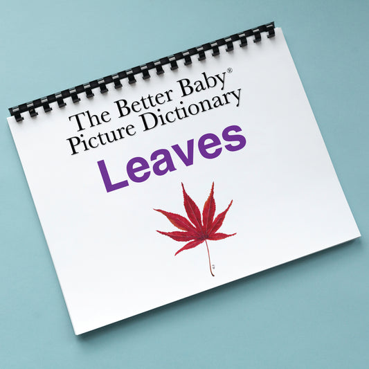 LEAVES Picture Dictionary Book