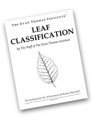 Leaf Classification ★★★