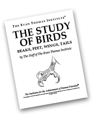 The Study of Birds: Beaks, Feet, Wings, and Tails ★★