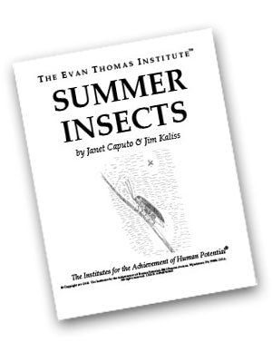 Summer Insects ★★★