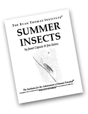 Summer Insects  ★★★