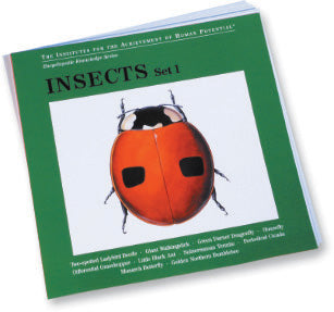 INSECTS, Set I, Bit of Intelligence Cards