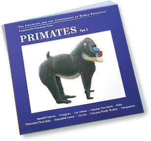 PRIMATES, Set I, Bit of Intelligence Cards