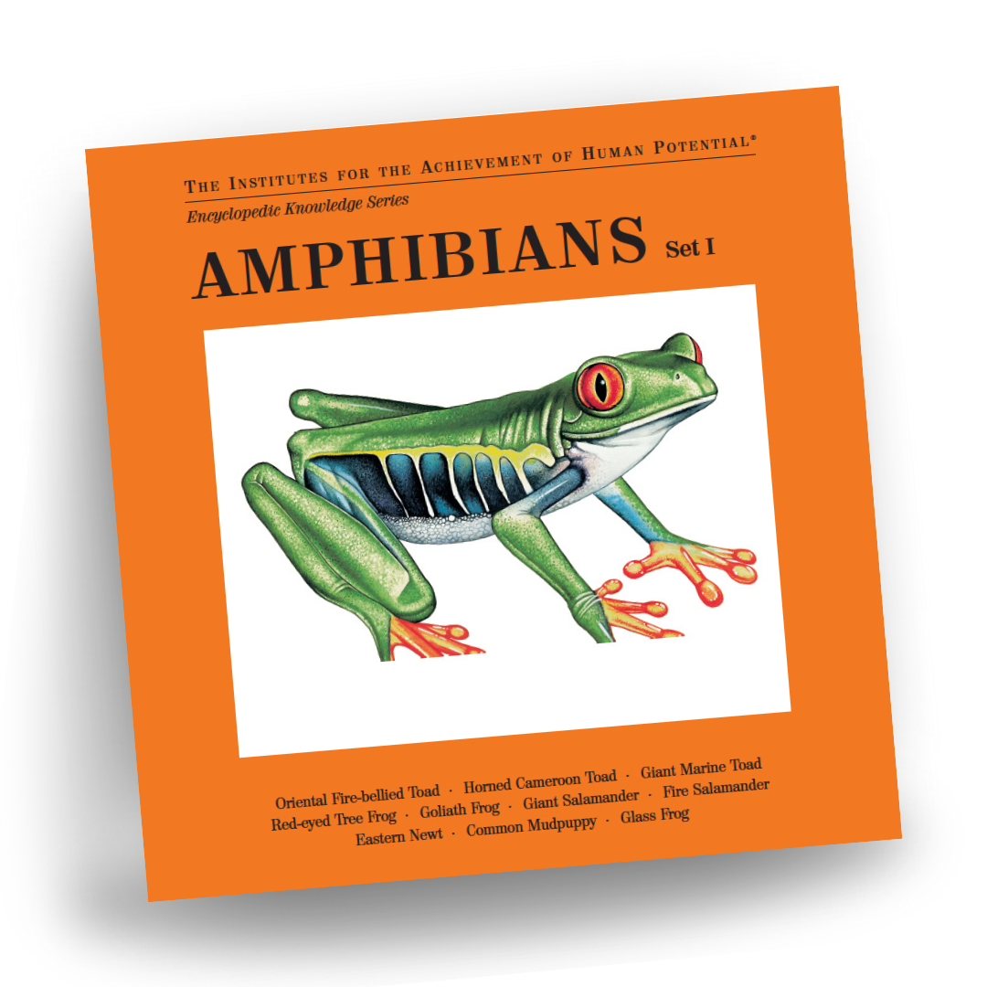 AMPHIBIANS, Set I, Bit of Intelligence Cards