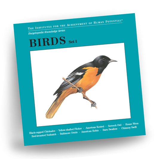 BIRDS, Set I, Bit of Intelligence Cards