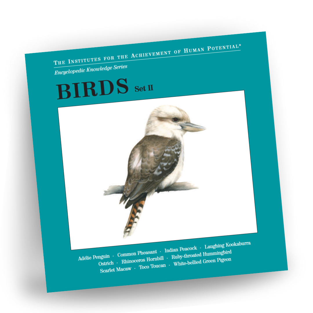 BIRDS,  Set II, Bit of Intelligence Cards