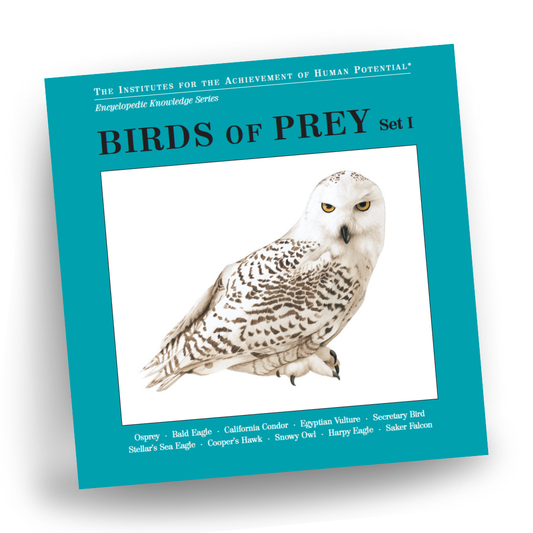 BIRDS OF PREY, Set I, Bit of Intelligence Cards