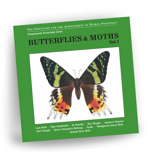 BUTTERFLIES & MOTHS, Set I, Bit of Intelligence Cards