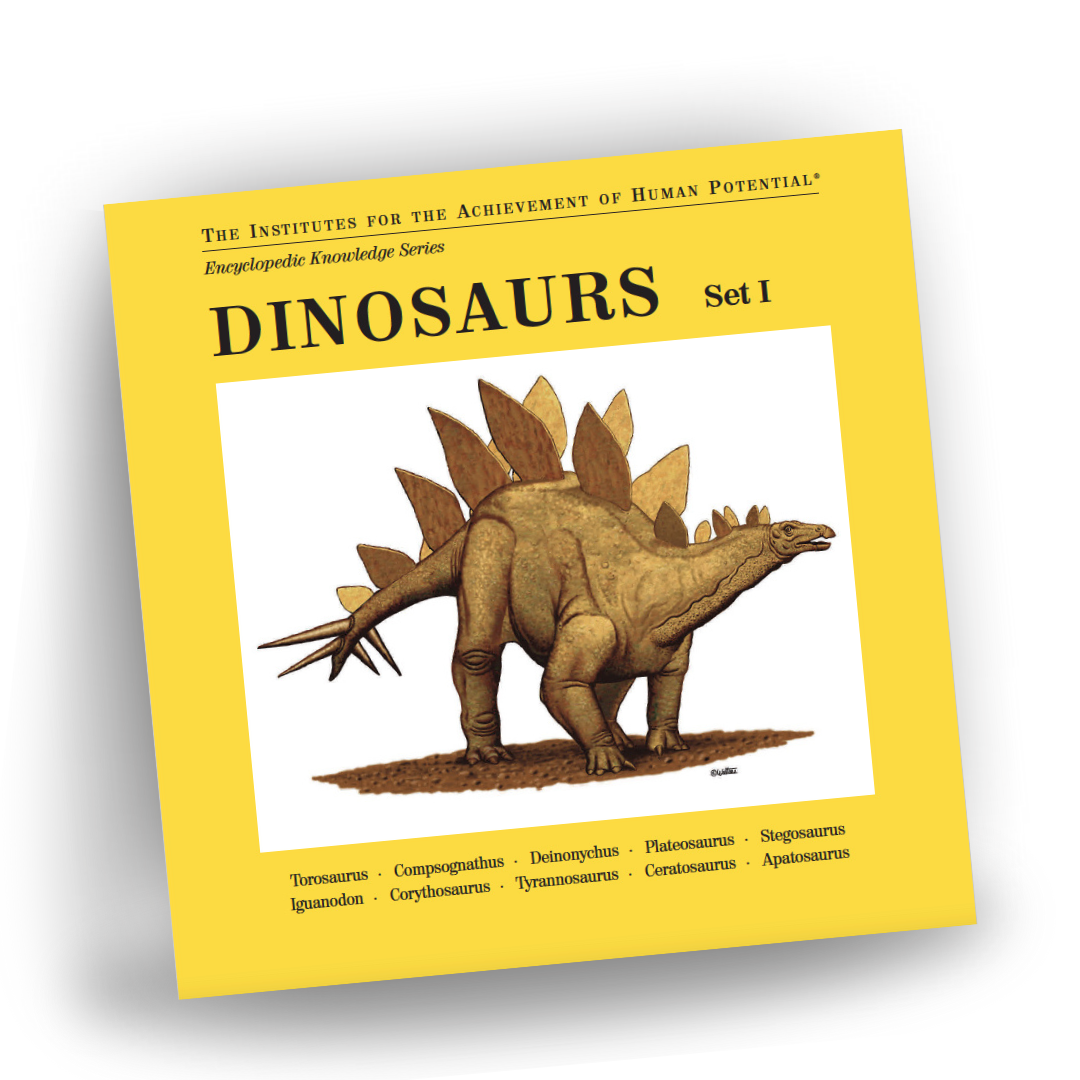 DINOSAURS, Set I, Bit of Intelligence Cards