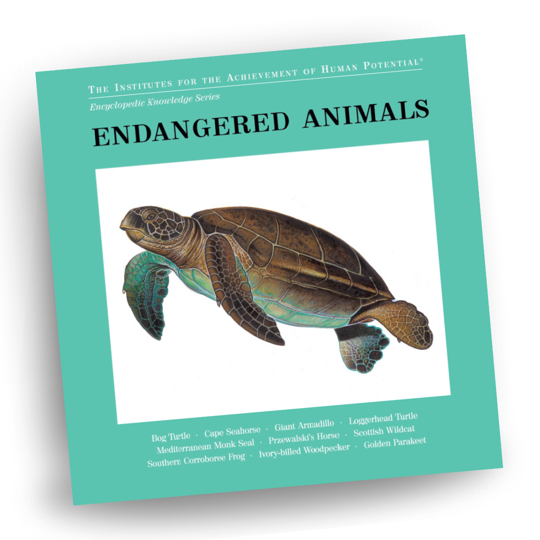 ENDANGERED ANIMALS  Bit of Intelligence Cards
