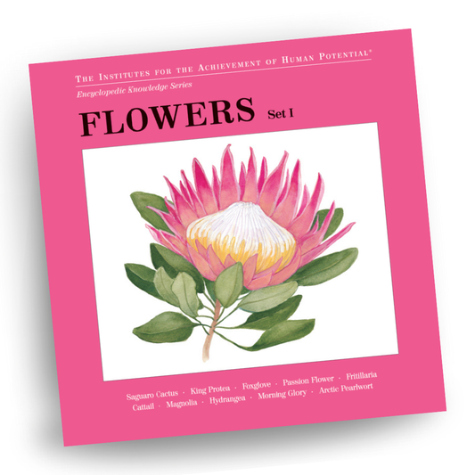 FLOWERS, Set I, Bit of Intelligence Cards