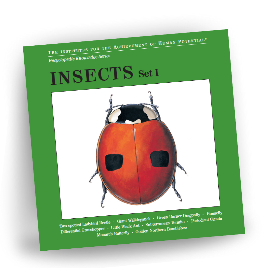 INSECTS, Set I, Bit of Intelligence Cards