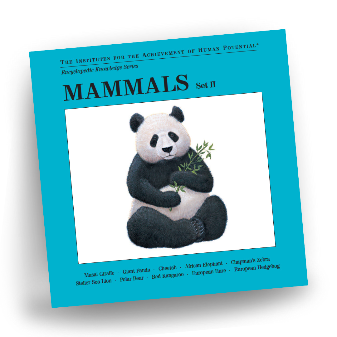 MAMMALS, Set II, Bit of Intelligence Cards