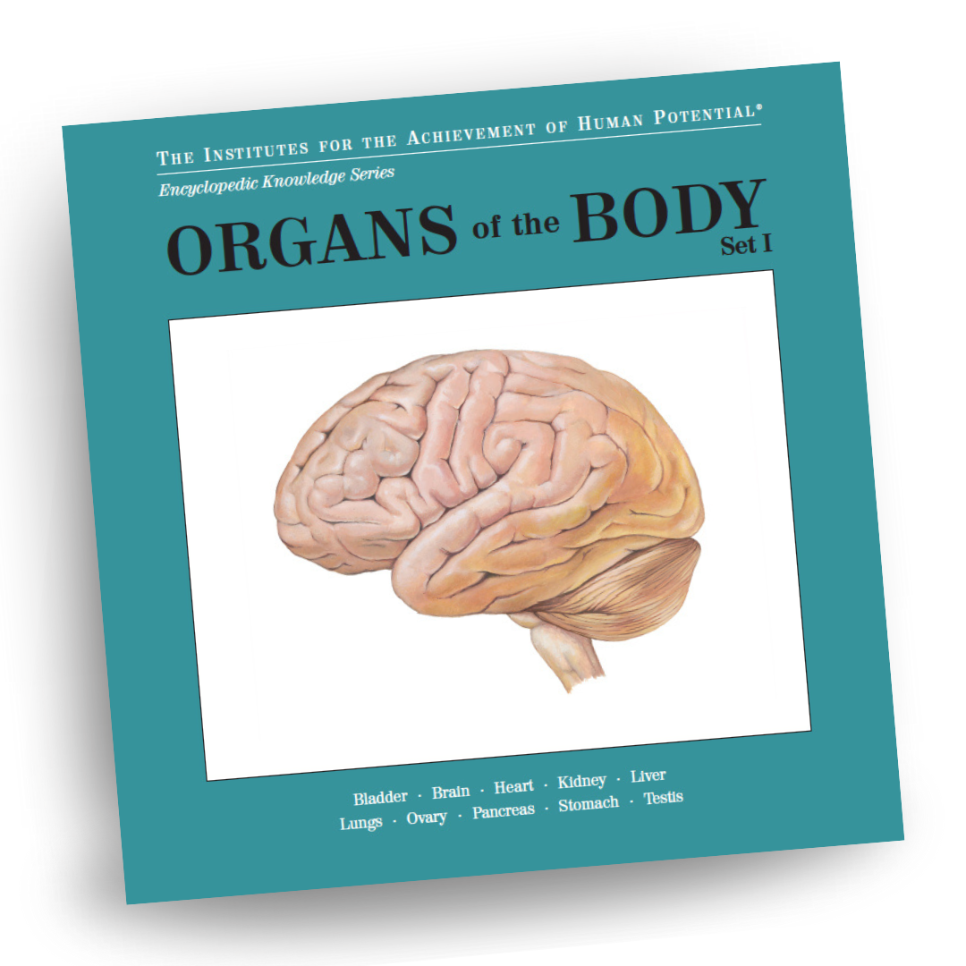 ORGANS OF THE BODY, Set I, Bit of Intelligence Cards