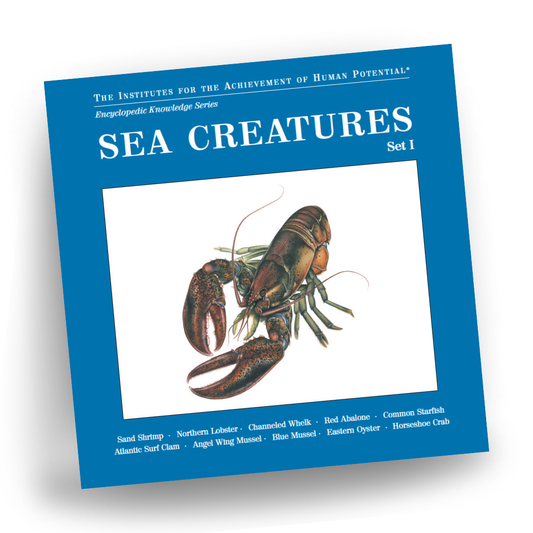 SEA CREATURES, Set I, Bit of Intelligence Cards