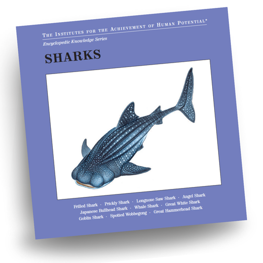 SHARKS Bit of Intelligence Cards