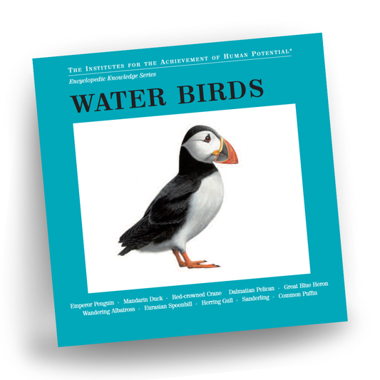 WATER BIRDS Bit of Intelligence Cards