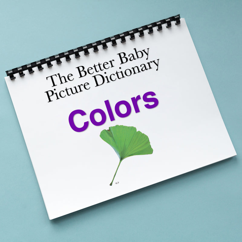 COLORS Picture Dictionary Book (English & Spanish)