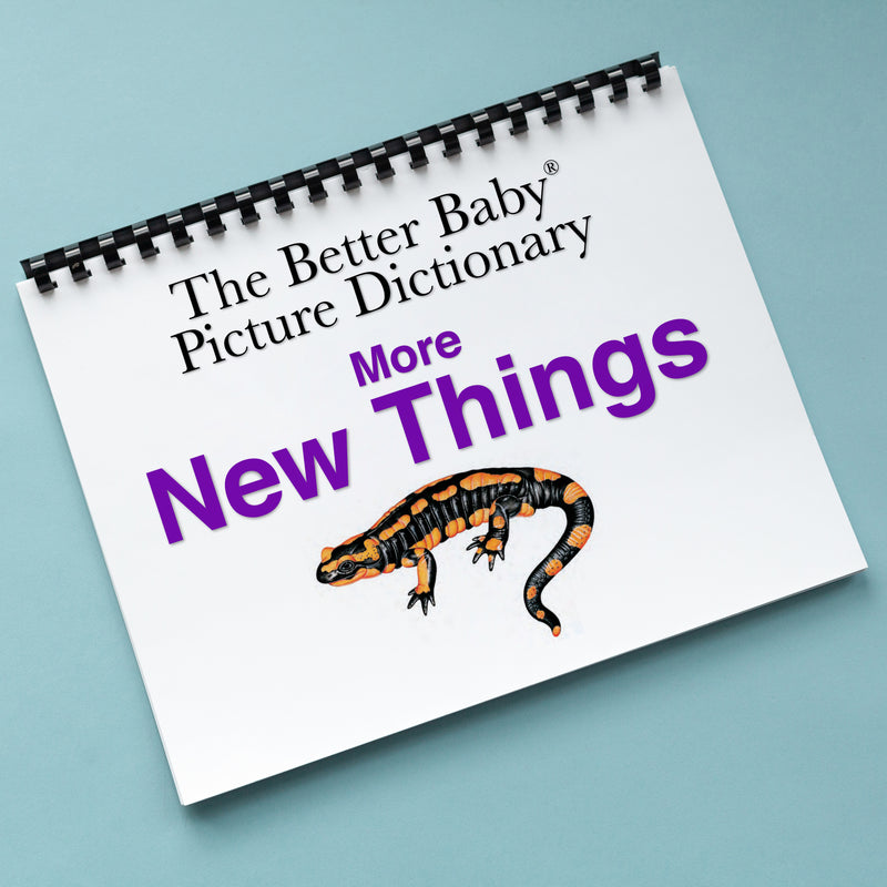 MORE NEW THINGS Picture Dictionary Book