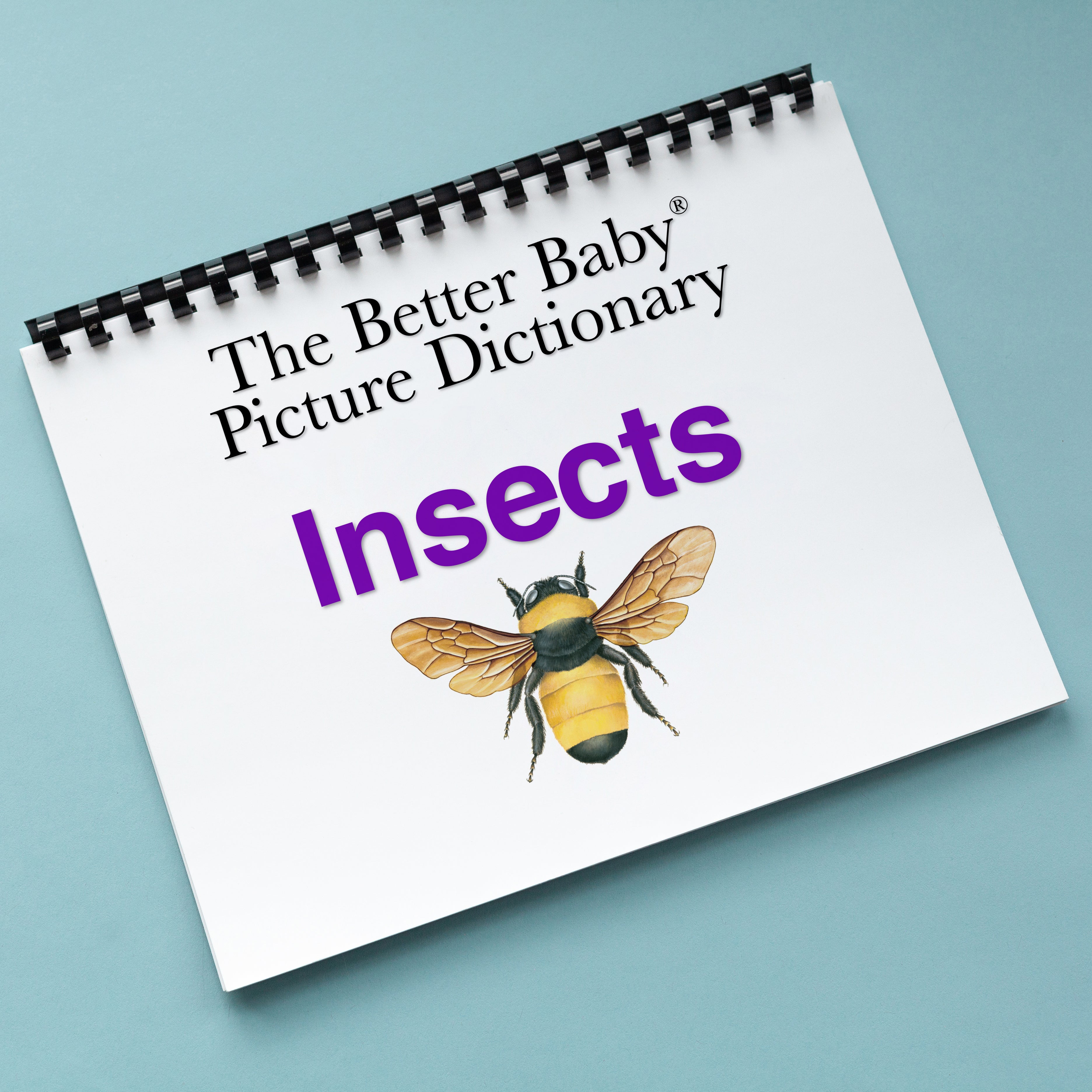 Dictionary Art Insect INSECTS Picture Dictionary Book – The Gentle Revolution Press