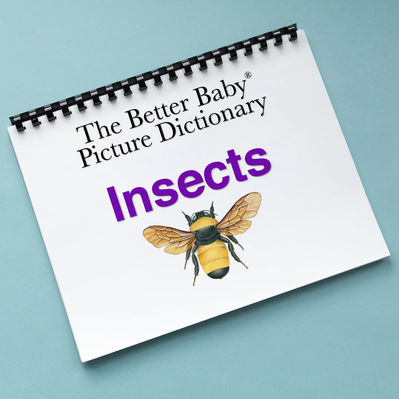 INSECTS Picture Dictionary Book