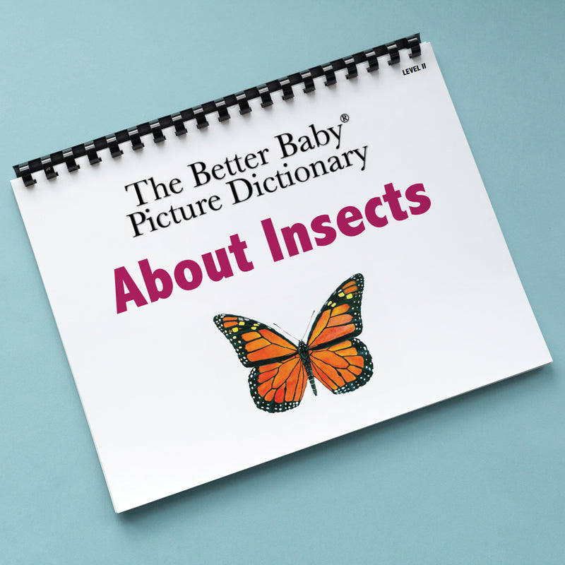 About Insects Picture Dictionary Book