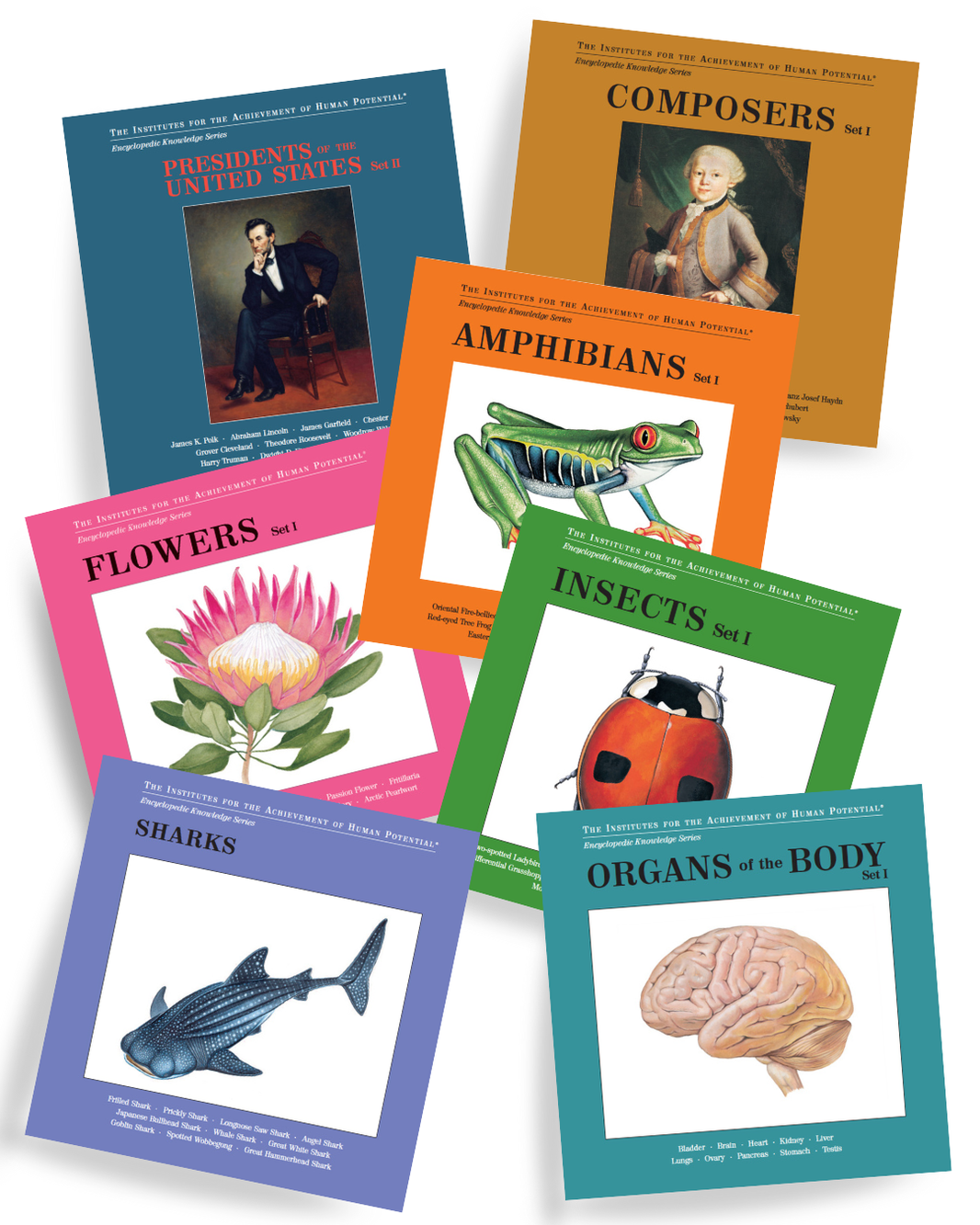 Bit of Intelligence Card Sets – The Gentle Revolution Press