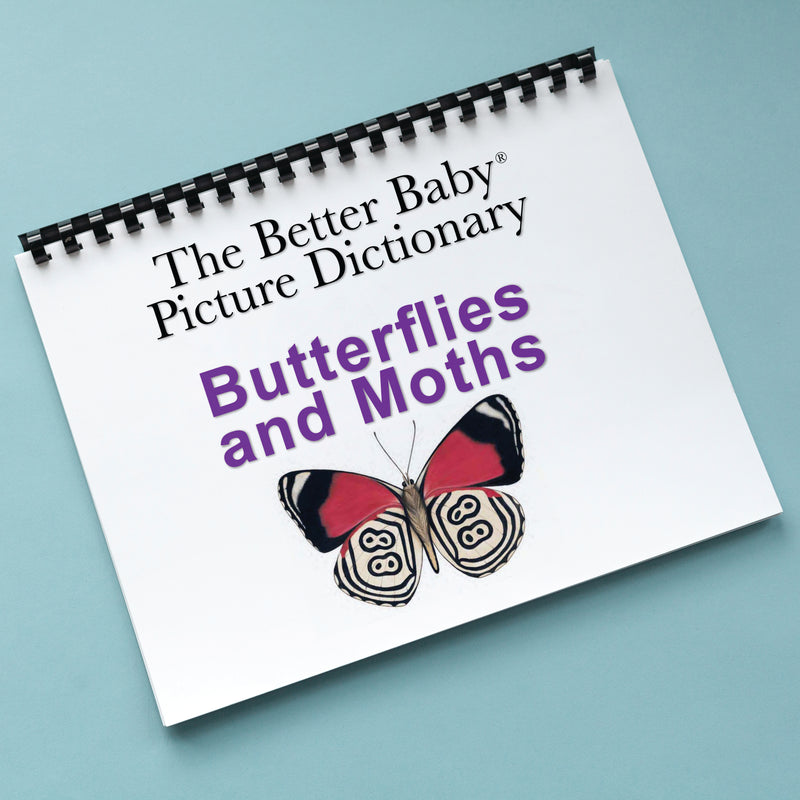 BUTTERFLIES & MOTHS Picture Dictionary Book