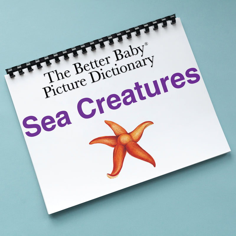 SEA CREATURES Picture Dictionary Book