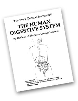 The Human Digestive System ★