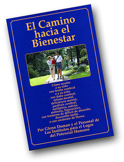 El Camino hacia el Bienestar (The Pathway to Wellness)