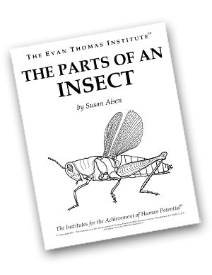 The Parts of an Insect ★