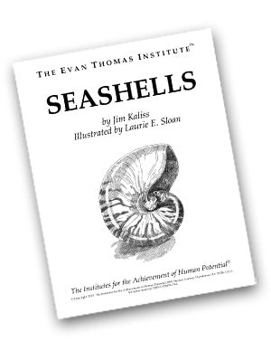 Seashells ★★