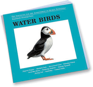 WATER BIRDS Bit of Intelligence Cards
