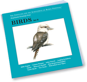 BIRDS,  Set II, Bit of Intelligence Cards