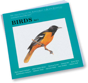 BIRDS, Set I, Bit of Intelligence Cards