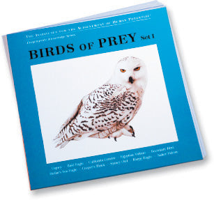 BIRDS OF PREY, Set I, Bit of Intelligence Cards