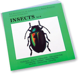 INSECTS, Set II, Bit of Intelligence Cards
