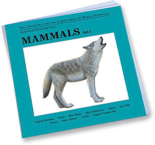 MAMMALS, Set I, Bit of Intelligence Cards