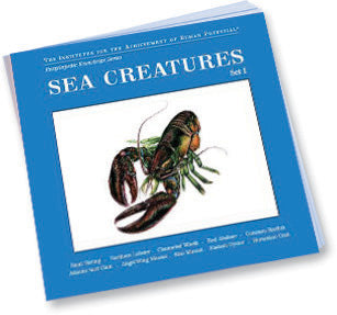 SEA CREATURES, Set I, Bit of Intelligence Cards